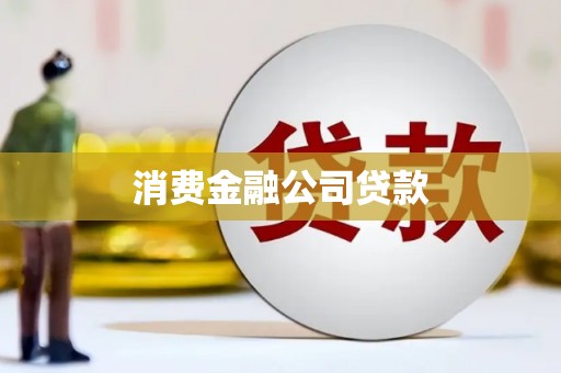 洋县消费金融公司贷款