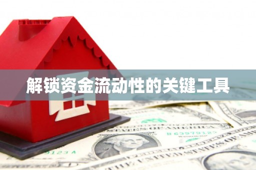 洋县解锁资金流动性的关键工具