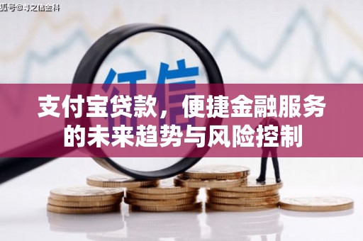 洋县支付宝贷款，便捷金融服务的未来趋势与风险控制