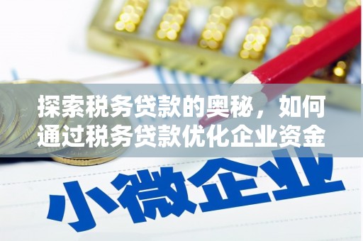 洋县探索税务贷款的奥秘，如何通过税务贷款优化企业资金流
