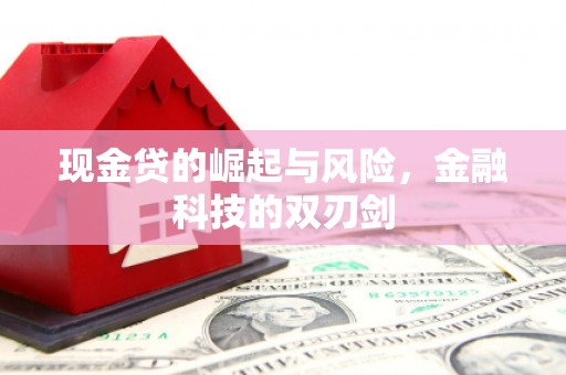 洋县现金贷的崛起与风险，金融科技的双刃剑