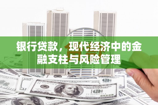 洋县银行贷款，现代经济中的金融支柱与风险管理