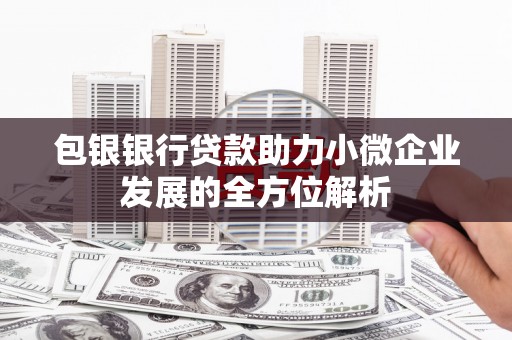 洋县包银银行贷款助力小微企业发展的全方位解析