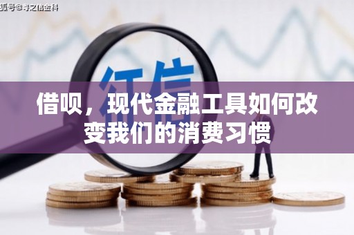洋县借呗，现代金融工具如何改变我们的消费习惯