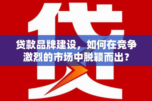 洋县贷款品牌建设，如何在竞争激烈的市场中脱颖而出？