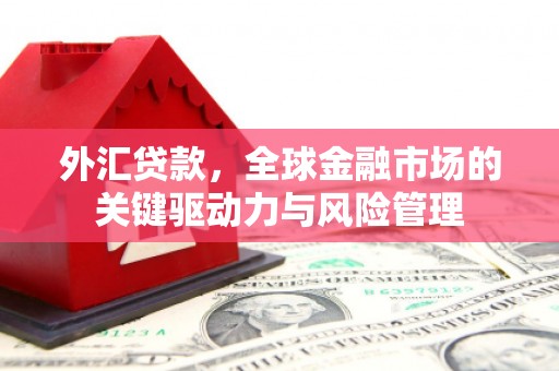 洋县外汇贷款，全球金融市场的关键驱动力与风险管理