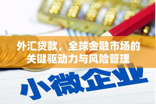 洋县外汇贷款，全球金融市场的关键驱动力与风险管理