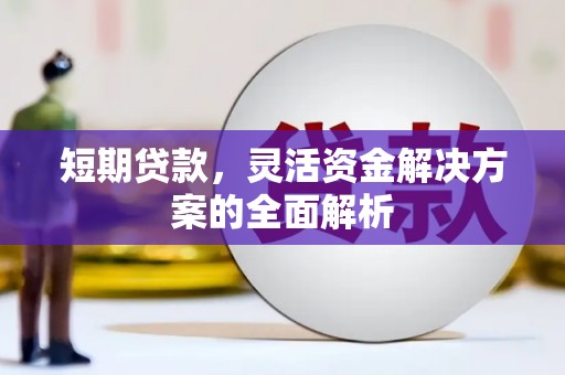 洋县短期贷款，灵活资金解决方案的全面解析