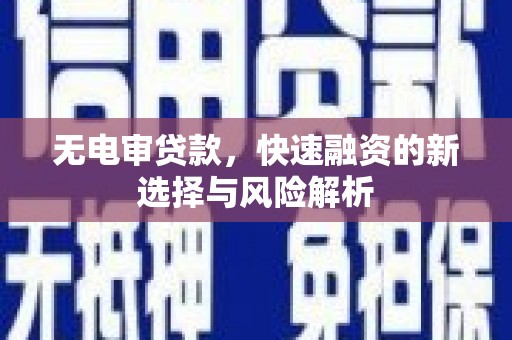洋县无电审贷款，快速融资的新选择与风险解析
