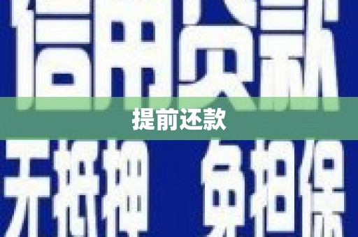 洋县提前还款