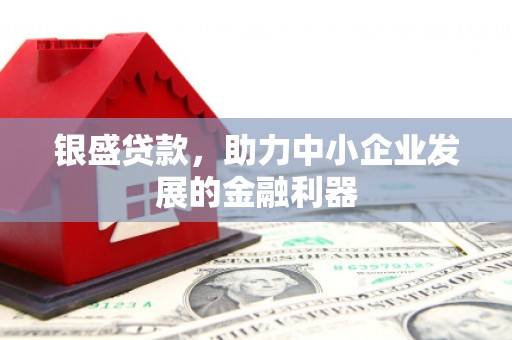 洋县银盛贷款，助力中小企业发展的金融利器
