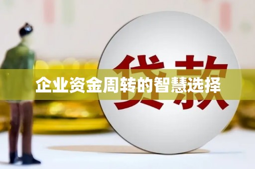 洋县企业资金周转的智慧选择