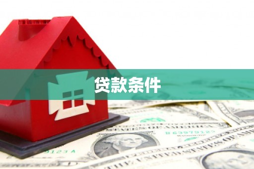 洋县贷款条件