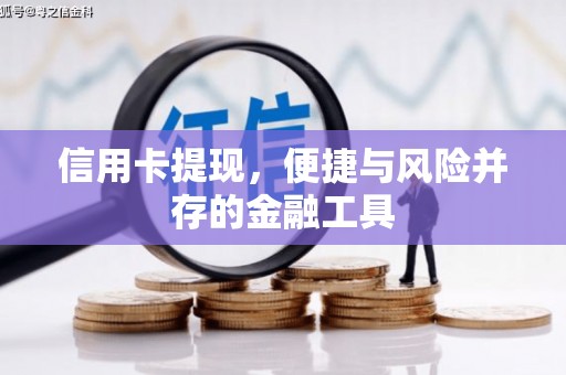 洋县信用卡提现，便捷与风险并存的金融工具