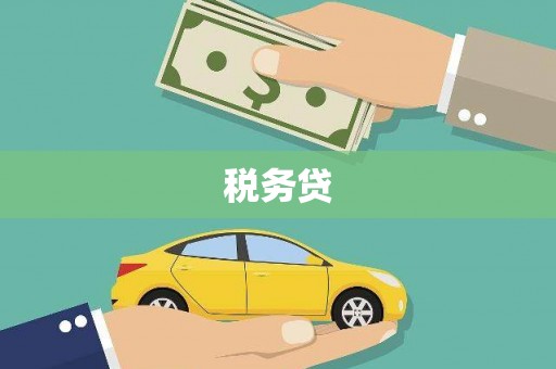 洋县税务贷
