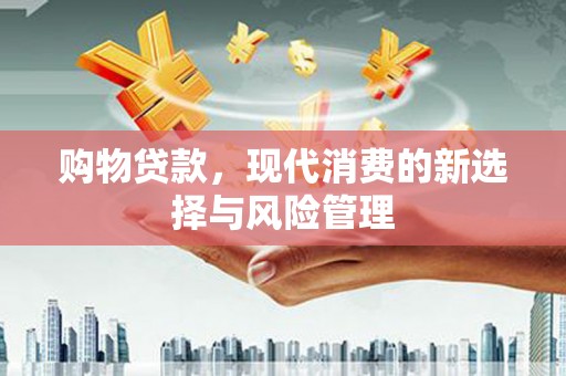 洋县购物贷款，现代消费的新选择与风险管理