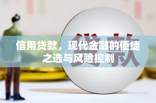 洋县信用贷款，现代金融的便捷之选与风险控制