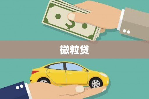 洋县微粒贷