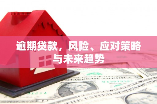 洋县逾期贷款，风险、应对策略与未来趋势