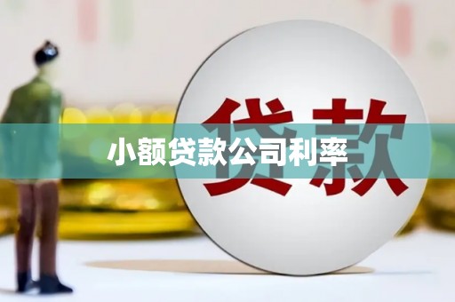 洋县小额贷款公司利率