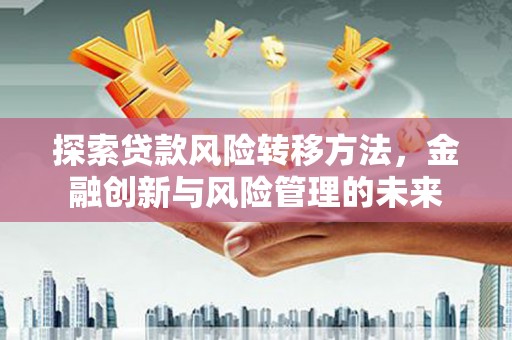 洋县探索贷款风险转移方法，金融创新与风险管理的未来