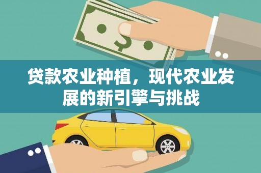洋县贷款农业种植，现代农业发展的新引擎与挑战