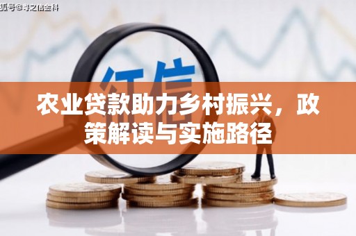 洋县农业贷款助力乡村振兴，政策解读与实施路径
