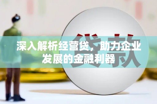 洋县深入解析经营贷，助力企业发展的金融利器