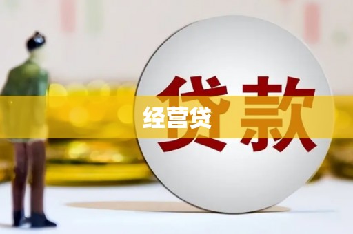 洋县经营贷