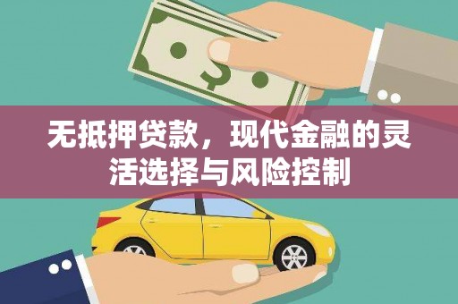 洋县无抵押贷款，现代金融的灵活选择与风险控制