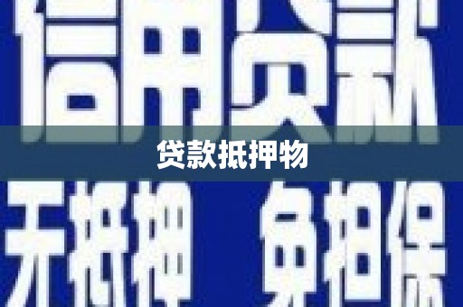 洋县贷款抵押物