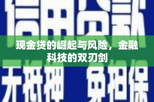 洋县现金贷的崛起与风险，金融科技的双刃剑