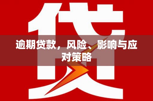 洋县逾期贷款，风险、影响与应对策略