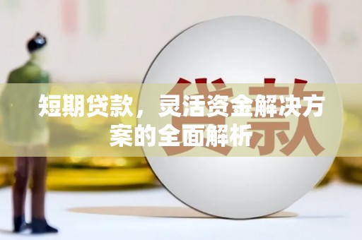 洋县短期贷款，灵活资金解决方案的全面解析