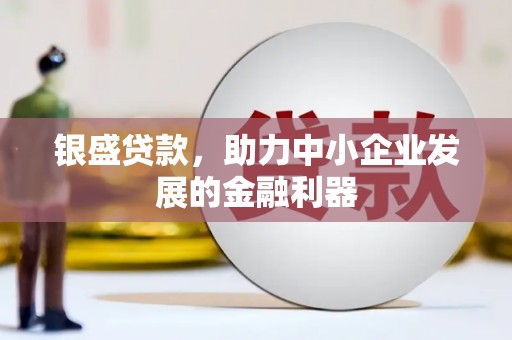 洋县银盛贷款，助力中小企业发展的金融利器