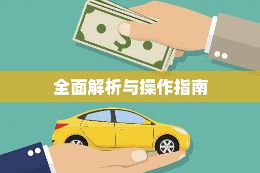 洋县全面解析与操作指南
