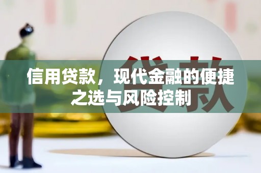 洋县信用贷款，现代金融的便捷之选与风险控制