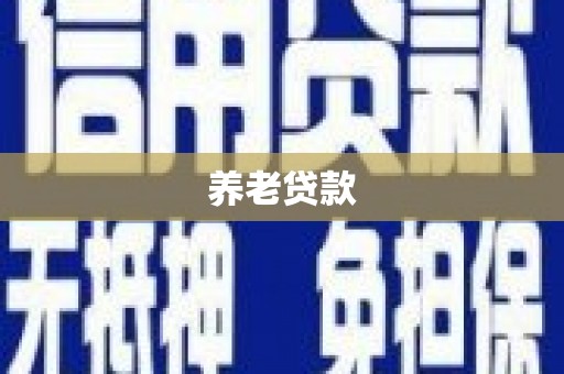 洋县养老贷款