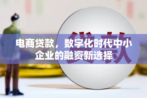 洋县电商贷款，数字化时代中小企业的融资新选择