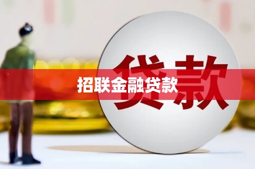 洋县招联金融贷款