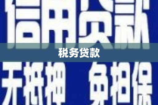 洋县税务贷款