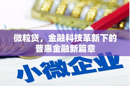 洋县微粒贷，金融科技革新下的普惠金融新篇章