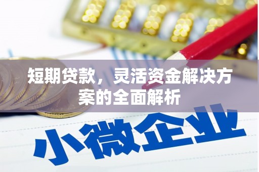 洋县短期贷款，灵活资金解决方案的全面解析