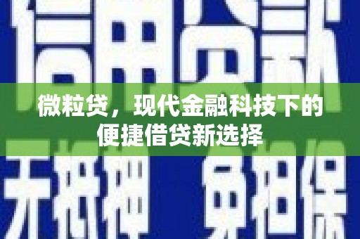 洋县微粒贷，现代金融科技下的便捷借贷新选择