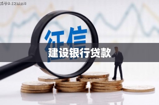 洋县建设银行贷款
