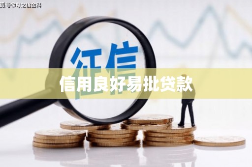 洋县信用良好易批贷款