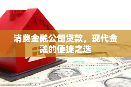 洋县消费金融公司贷款，现代金融的便捷之选