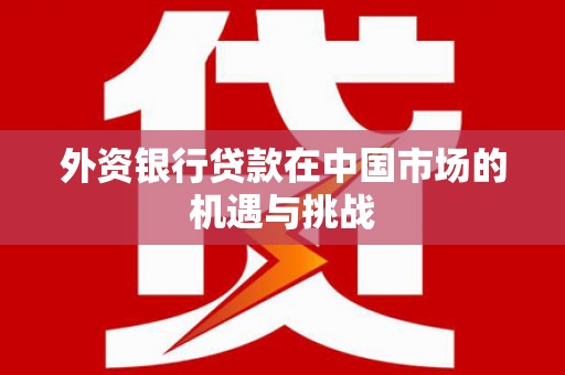 洋县外资银行贷款在中国市场的机遇与挑战