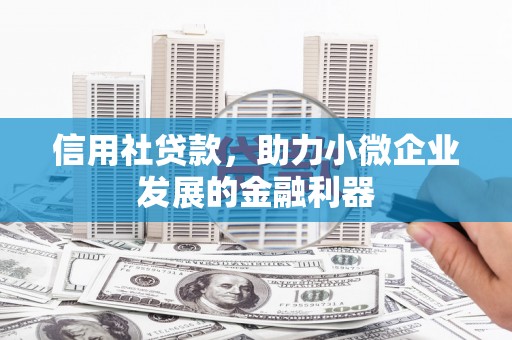 洋县信用社贷款，助力小微企业发展的金融利器