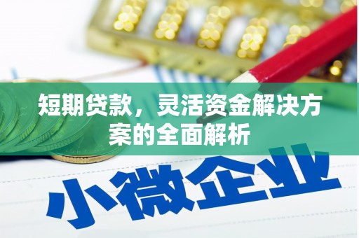 洋县短期贷款，灵活资金解决方案的全面解析